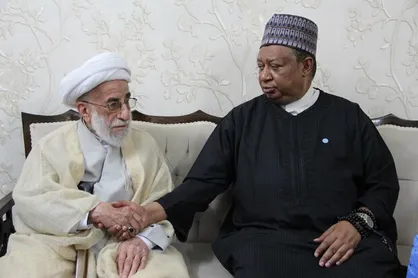 دبیرکل اوپک با آیت الله جنتی دیدار کرد