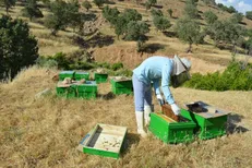 ۸۰۰ طرح اشتغال‌زایی بنیاد برکت در استان کهگیلویه و بویراحمد