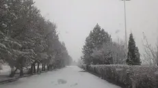 مدارس ابتدایی اردبیل در «نوبت عصر » غیر حضوری شد/تصاویری از بارش رحمت الهی در استان