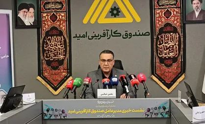 ضیائی: توسعه صندوق&zwnj;های خرد محلی می&zwnj;تواند بخش بزرگی از مشکلات اشتغال را حل کند