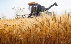 اجرای طرح جهش تولید در ۵.۲ میلیون هکتار دیم‌زار کشور با همت ستاد اجرایی فرمان امام‌