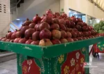 yalda