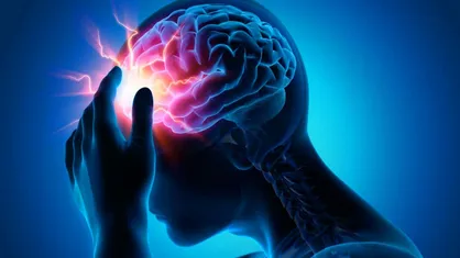 استفاده از نانوکپسول برای رهایش ابزار&zwnj;های ویرایش ژنوم در داخل بدن