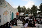 دبب