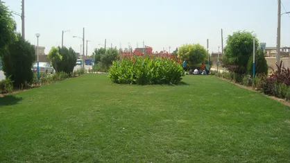 اهمیت و نقش جنگل&zwnj;ها و مراتع در زندگی امروزی/ قطع درختان قطع شریان زندگی