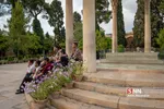 شبث