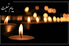 مدیرعامل خانه کتاب و ادبیات ایران درگذشت شیخ الاسلامی را تسلیت گفت