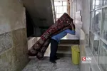 فرش مشهد