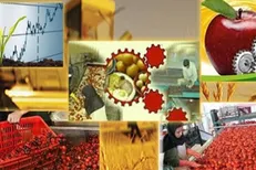 درآمد بالای ۶۰ میلیون تومان کشاورزان مشمول مالیات می‌شود