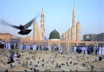 سلام عاشقانه زائران حج به پیامبر رحمت در مدینه + فیلم