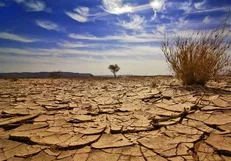 احیای مراتع راهکاری کلیدی برای مقابله با خشکسالی و حفظ امنیت سرزمین