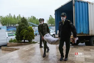 جدید