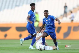 دبب