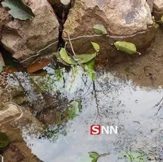 وضعیت آب شرب روستای بسک تالش مناسب نیست + فیلم