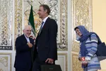 وگرینی