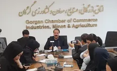 ارزآوری حاصل از صادرات ید در گلستان ۲۰ درصد کاهش یافت