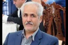 محمدولی: نوسانات ارزی، بازار طلا و سکه را متشنج کرده/ حباب سکه ۹۶۰ هزار تومان شد