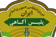 پليس آگاهی| بازداشت کلاهبردار وام های فوری