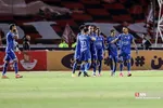 دبب