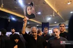 دبب