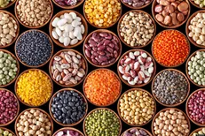 روش ارزان قیمت برای تأمین پروتئین بدن