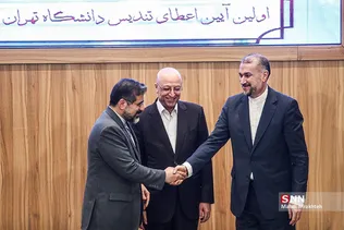 سیلذص