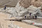 سیل5