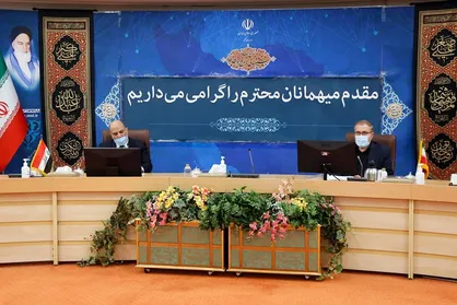 ذوالفقاری خواستار همکاری دولت عراق برای کاهش هزینه&zwnj;های سفر اربعین شد