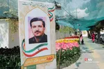 فصل بهار و میهمانی لاله ها