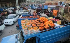 توزیع ۱۱۰۰ تن لیموترش احتکار شده در بازار با ورود دستگاه قضایی