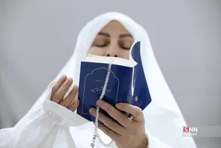 دبب