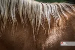 nw