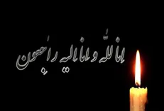 مادر شهیدان «سیف‌الدینی» به فرزندان شهیدش پیوست
