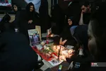 دبب