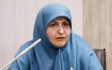 سیاوشی: نتوانستیم با روحانی ملاقات کنیم، اما دیدار رئیسی با سهولت انجام شد