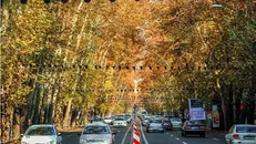 افزایش غلظت آلاینده‌ها در آسمان پایتخت