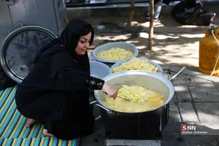 دبب