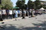 دانشگاه تهران