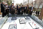 دانشگاه