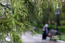 در ۲۴ ساعت آینده در برخی از استان‌ها شاهد بارش خواهیم بود/ احتمال بارندگی از امشب تا جمعه در تهران