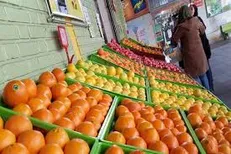 ساختار سازمان مدیریت میادین میوه و تره بار اصلاح می‌شود