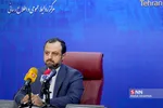 سیلذ