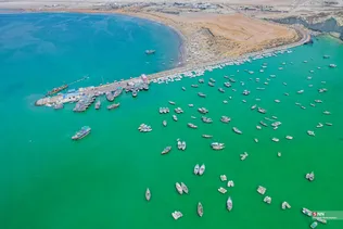 بریس