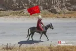 اسب