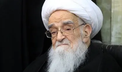 تقدیر آیت&zwnj;الله صافی گلپایگانی از رئیس دادگاه قانون اساسی اتریش