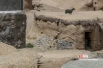 ماخونیک