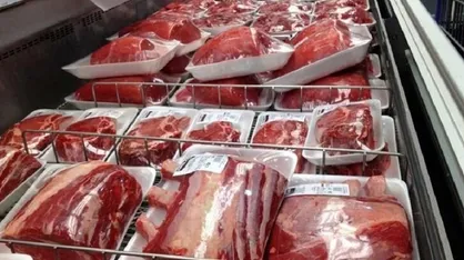 مدیرعامل اتحادیه دامداران: بازار سیاه نهاده&zwnj;ها جمع شد / قیمت کارشناسی گوشت حدود ۶۰۰ هزار تومان + فیلم