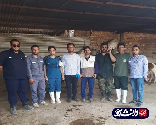 فعالیت جهادگران بسیج دانشجویی دانشگاه آزاد شوشتر در مناطق سیل زده شعیبیه