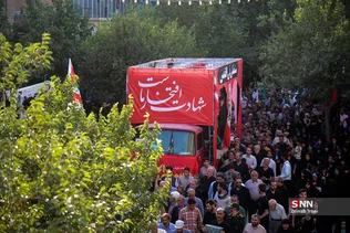 دبب