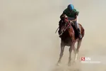 asb